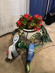 Turtle Planter 